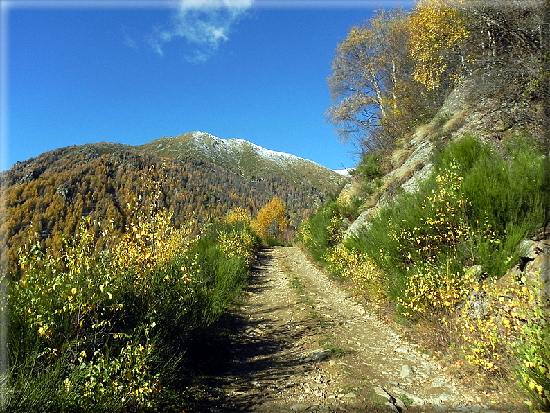 foto Salita all'Alpe Prial